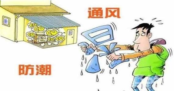 梅雨季节是什么时间，在什么节气之间，梅雨季节分布在哪些省