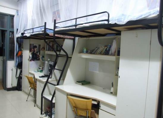 大学宿舍可以养兔子吗?大学宿舍可以养狗吗?