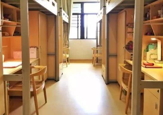 大学宿舍可以养仓鼠吗?大学宿舍可以养猫吗?