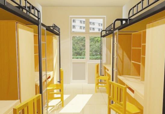 大学宿舍可以养仓鼠吗?大学宿舍可以养猫吗?