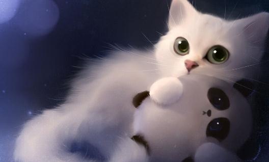 猫粮的选购技巧 给猫咪吃什么最好?
