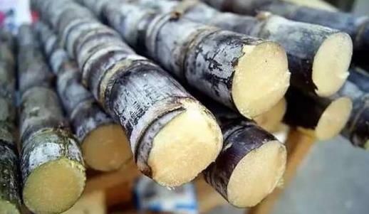 甘蔗根熬水能治咳嗽吗?甘蔗冰糖雪梨能止咳吗