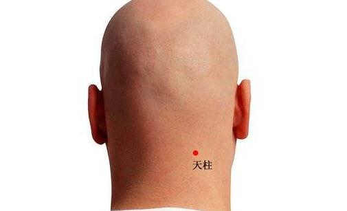 想成为 多助性养生穴